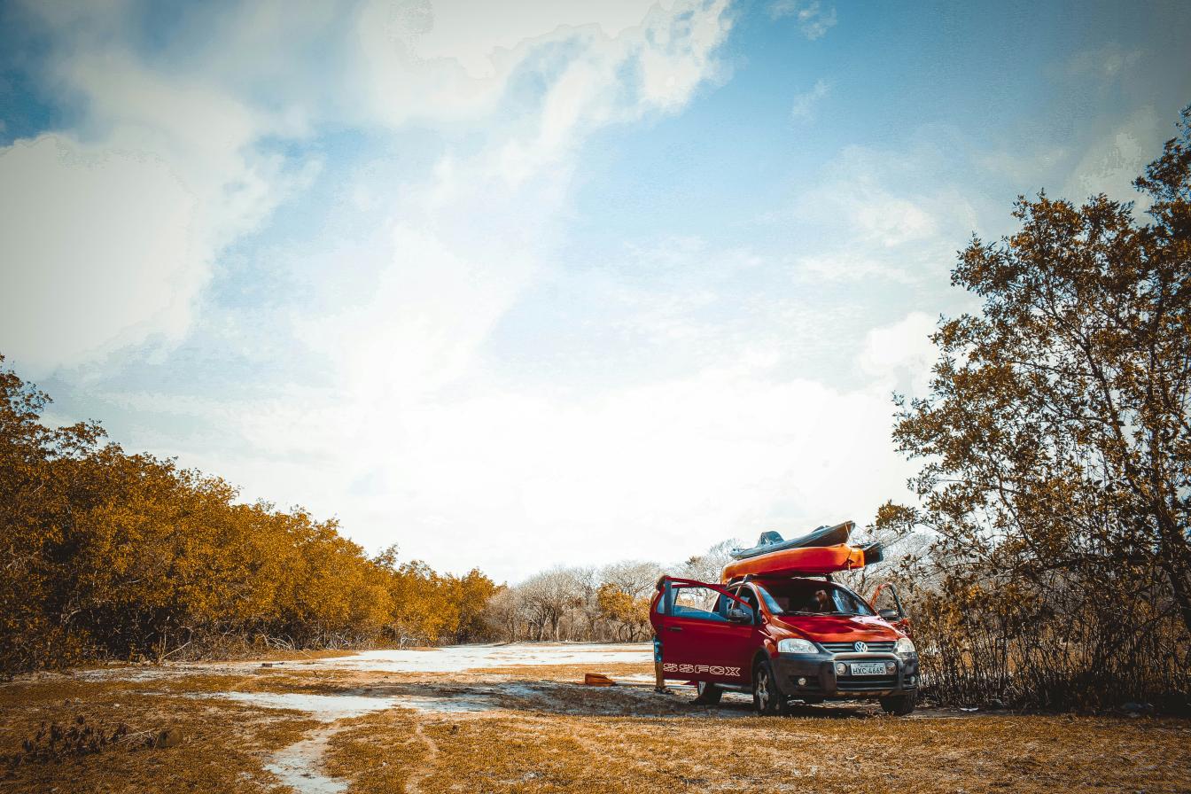 red vehicle on dirt road near trees at daytime